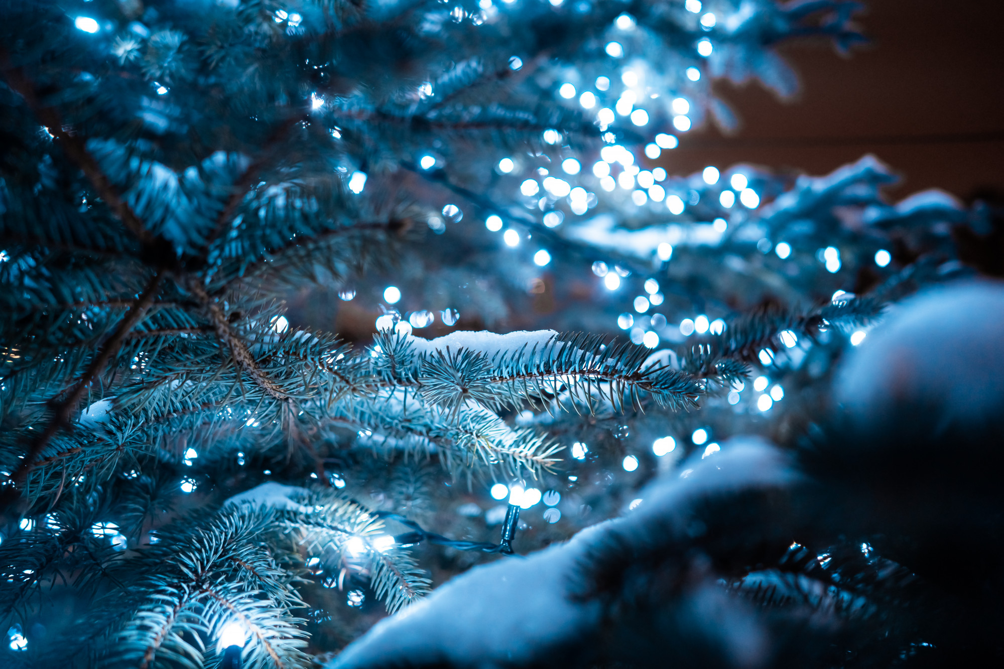 CONCOURS DES DÉCORATIONS DE NOËL
