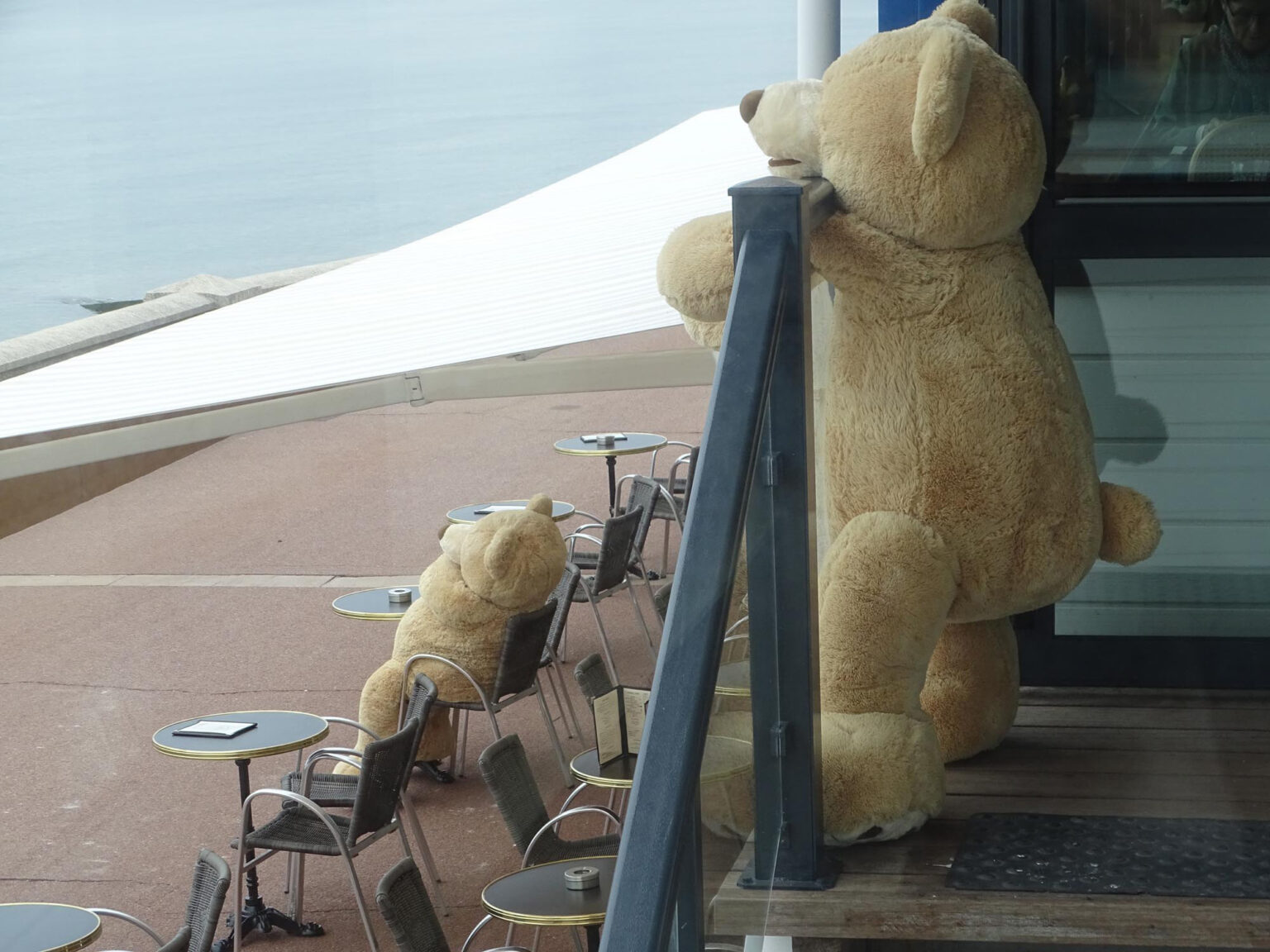 Ville de SainteAdresse Inauguration de la nouvelle Brasserie Eugénie